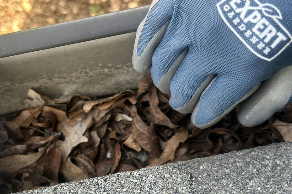 Gutter Cleaning Turkey Creek Forest