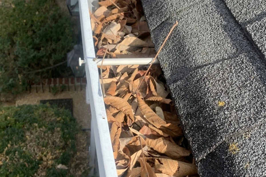 Gutter Cleaning Turkey Creek Forest