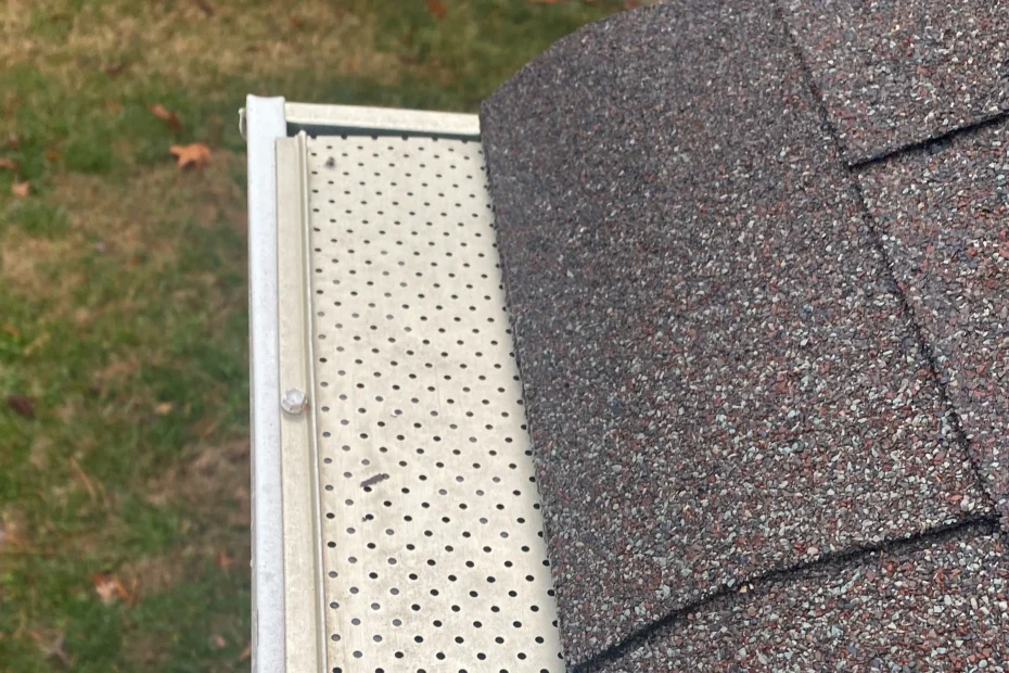 Turkey Creek Forest Gutter Cleaning